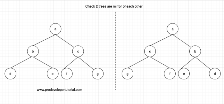 Convert a binary tree to its Mirror Tree - ProDeveloperTutorial.com