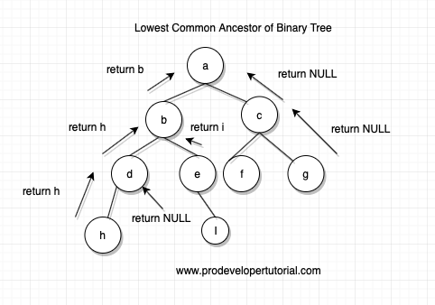 lowest_common_ansistor_of_binary_tree