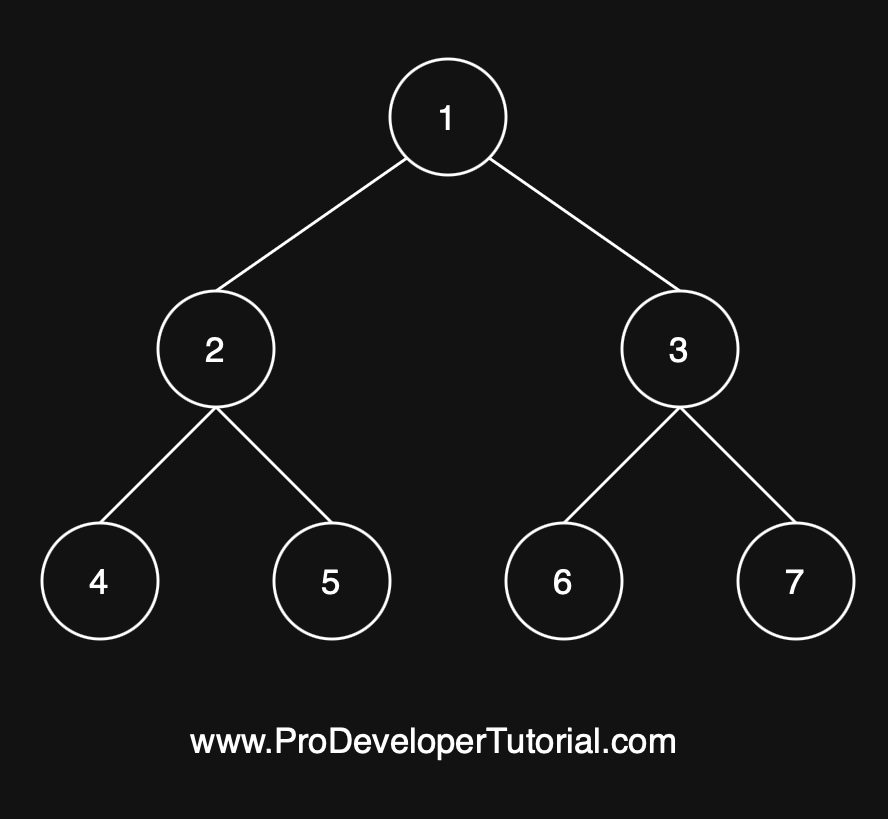 Binary Tree