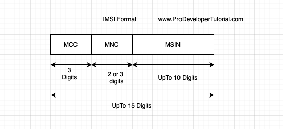 MSI_format-